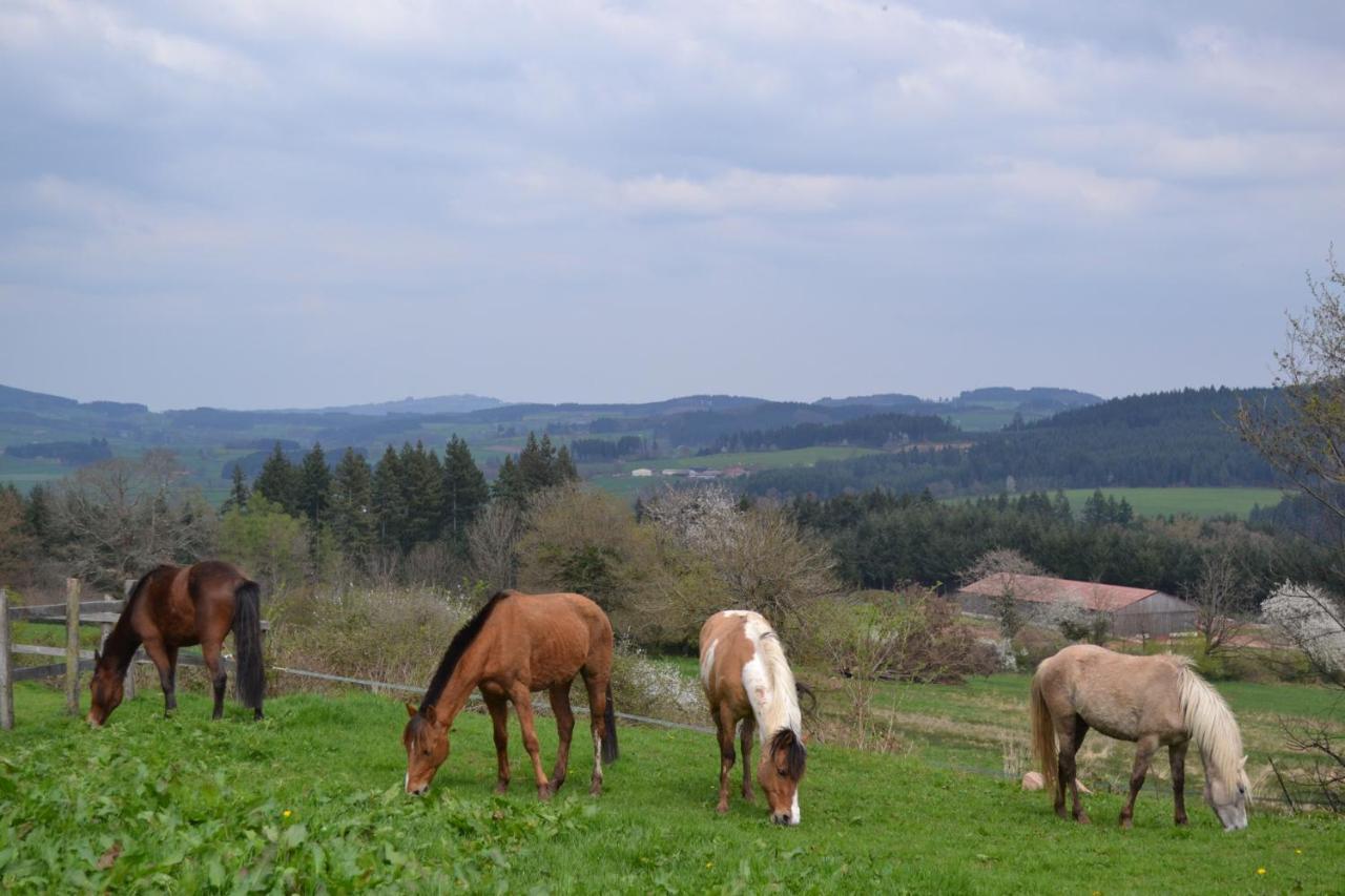 Les Perruchons Ancienne Grange Renovee Avec Soin Vila Ozolles Exterior foto